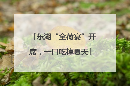 东湖“全荷宴”开席，一口吃掉夏天