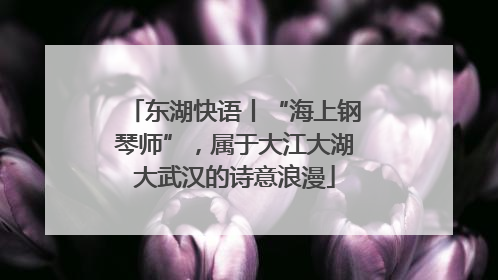 东湖快语丨“海上钢琴师”，属于大江大湖大武汉的诗意浪漫