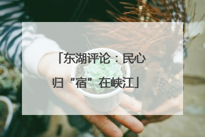 东湖评论：民心归“宿”在峡江