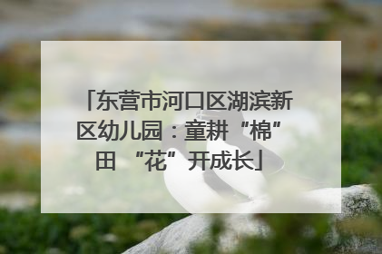 东营市河口区湖滨新区幼儿园：童耕“棉”田 “花”开成长