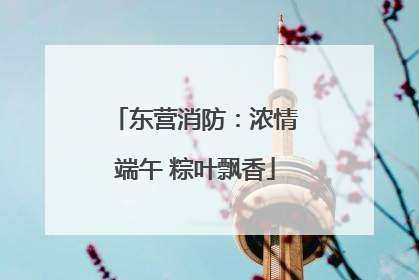 东营消防：浓情端午 粽叶飘香