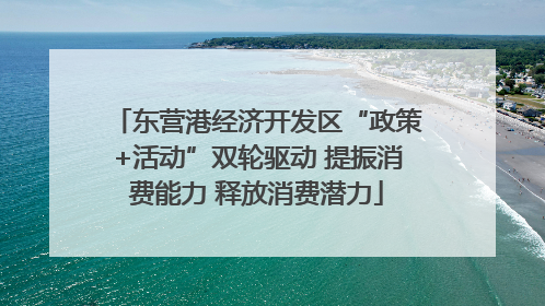 东营港经济开发区“政策+活动”双轮驱动 提振消费能力 释放消费潜力