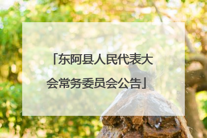 东阿县人民代表大会常务委员会公告