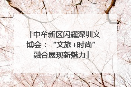 中牟新区闪耀深圳文博会：“文旅+时尚”融合展现新魅力