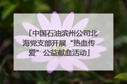 中国石油滨州公司北海党支部开展“热血传爱”公益献血活动