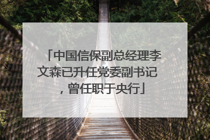 中国信保副总经理李文森已升任党委副书记，曾任职于央行
