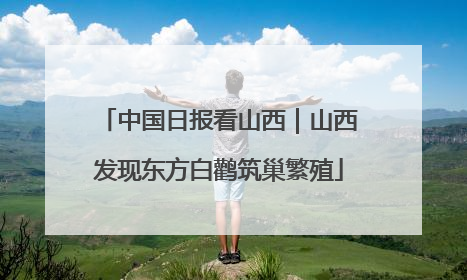 中国日报看山西｜山西发现东方白鹳筑巢繁殖