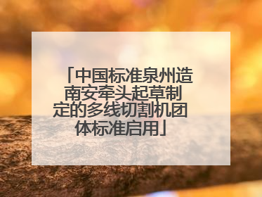 中国标准泉州造 南安牵头起草制定的多线切割机团体标准启用