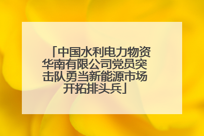 中国水利电力物资华南有限公司党员突击队勇当新能源市场开拓排头兵