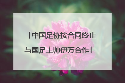 中国足协按合同终止与国足主帅伊万合作
