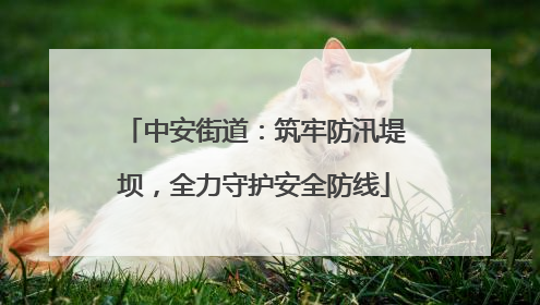 中安街道：筑牢防汛堤坝，全力守护安全防线