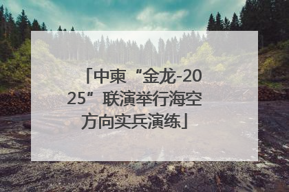 中柬“金龙-2025”联演举行海空方向实兵演练
