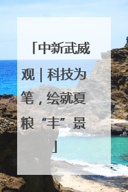 中新武威观｜科技为笔，绘就夏粮“丰”景