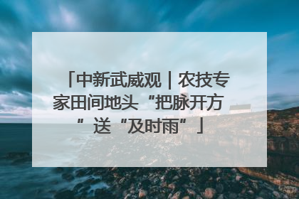 中新武威观｜农技专家田间地头“把脉开方”送“及时雨”