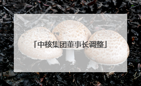 中核集团董事长调整