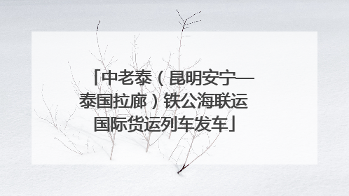 中老泰（昆明安宁—泰国拉廊）铁公海联运国际货运列车发车