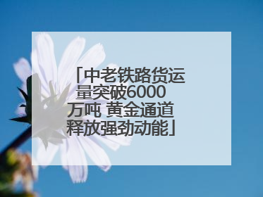 中老铁路货运量突破6000万吨 黄金通道释放强劲动能