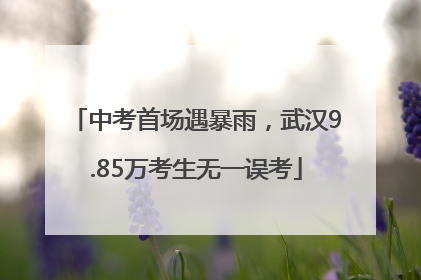 中考首场遇暴雨，武汉9.85万考生无一误考