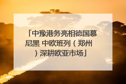 中豫港务亮相德国慕尼黑 中欧班列（郑州）深耕欧亚市场
