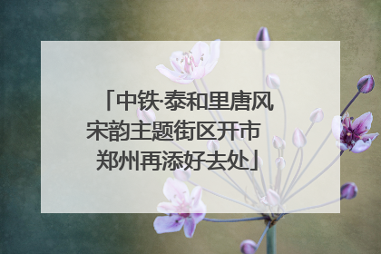 中铁·泰和里唐风宋韵主题街区开市 郑州再添好去处