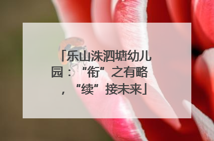 乐山洙泗塘幼儿园：“衔”之有略，“续”接未来
