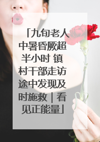九旬老人中暑昏厥超半小时 镇村干部走访途中发现及时施救｜看见正能量