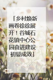 乡村焕新画卷徐徐展开！谷城石花镇中心公园奋进建设初显成效