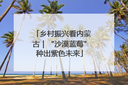 乡村振兴看内蒙古｜“沙漠蓝莓”种出紫色未来