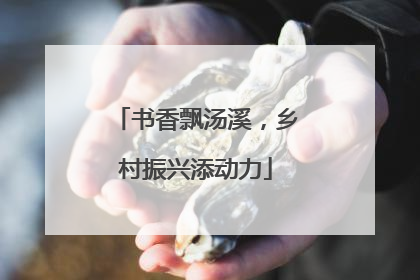 书香飘汤溪，乡村振兴添动力