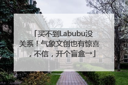 买不到Labubu没关系！气象文创也有惊喜，不信，开个盲盒→