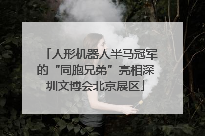 人形机器人半马冠军的“同胞兄弟”亮相深圳文博会北京展区