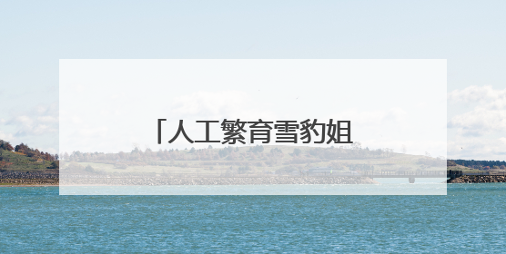 人工繁育雪豹姐妹花“水墨”“油画”六岁啦