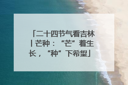 二十四节气看吉林丨芒种：“芒”着生长，“种”下希望