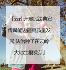 云南开展民法典宣传赋能边疆高质量发展 法治种子在云岭大地生根发芽
