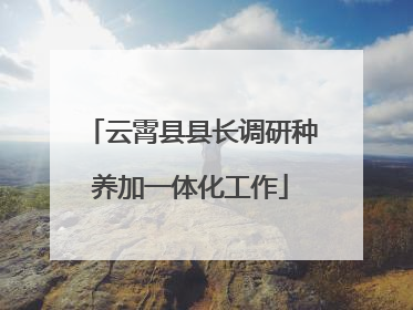 云霄县县长调研种养加一体化工作