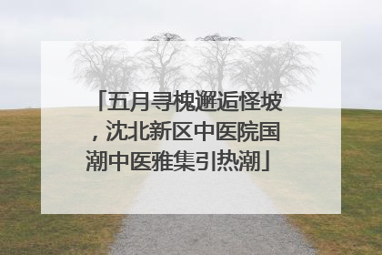 五月寻槐邂逅怪坡，沈北新区中医院国潮中医雅集引热潮