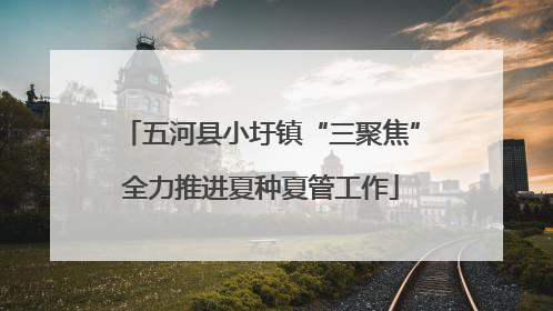 五河县小圩镇“三聚焦”全力推进夏种夏管工作