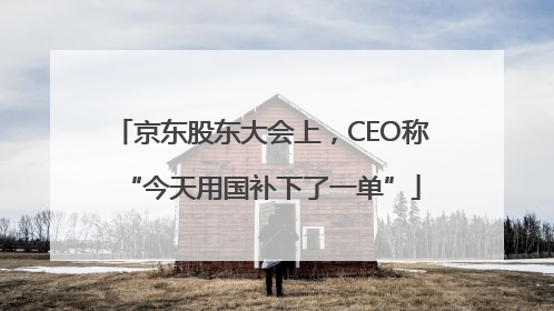 京东股东大会上，CEO称“今天用国补下了一单”