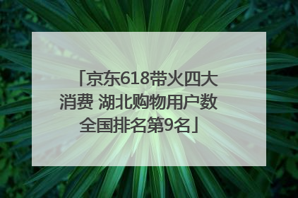 京东618带火四大消费 湖北购物用户数全国排名第9名