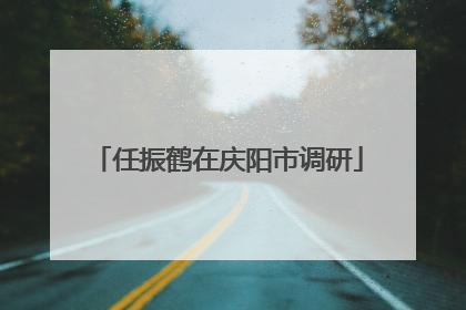 任振鹤在庆阳市调研