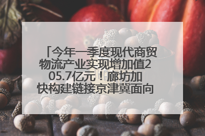 今年一季度现代商贸物流产业实现增加值205.7亿元！廊坊加快构建链接京津冀面向全世界的物流通道