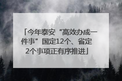 今年泰安“高效办成一件事”国定12个、省定2个事项正有序推进