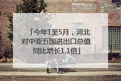 今年1至5月，河北对中亚五国进出口总值同比增长1.1倍