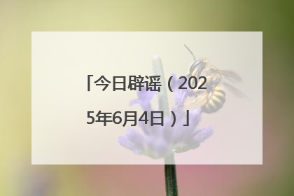 今日辟谣（2025年6月4日）
