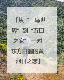 从“二鸟世界”到“五口之家” 一对东方白鹳的黄河口之恋