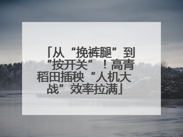 从“挽裤腿”到“按开关”！高青稻田插秧“人机大战”效率拉满