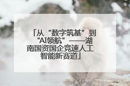 从“数字筑基”到“AI领航”——湖南国资国企竞速人工智能新赛道
