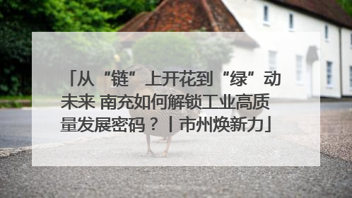 从“链”上开花到“绿”动未来 南充如何解锁工业高质量发展密码？丨市州焕新力