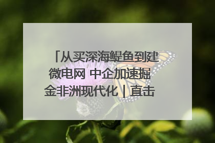 从买深海鳀鱼到建微电网 中企加速掘金非洲现代化｜直击中非经贸博览会