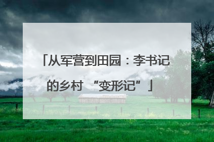 从军营到田园：李书记的乡村 “变形记”